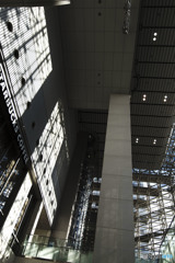 当て無き道を彷徨う