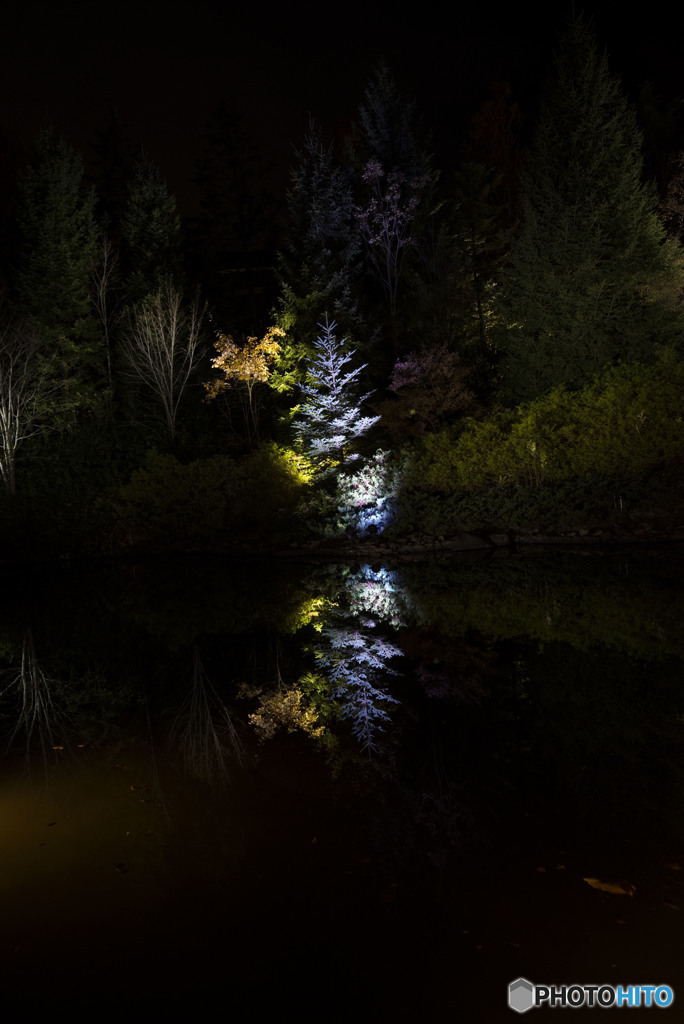 I hear a voice 聖なる夜