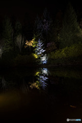 I hear a voice 聖なる夜