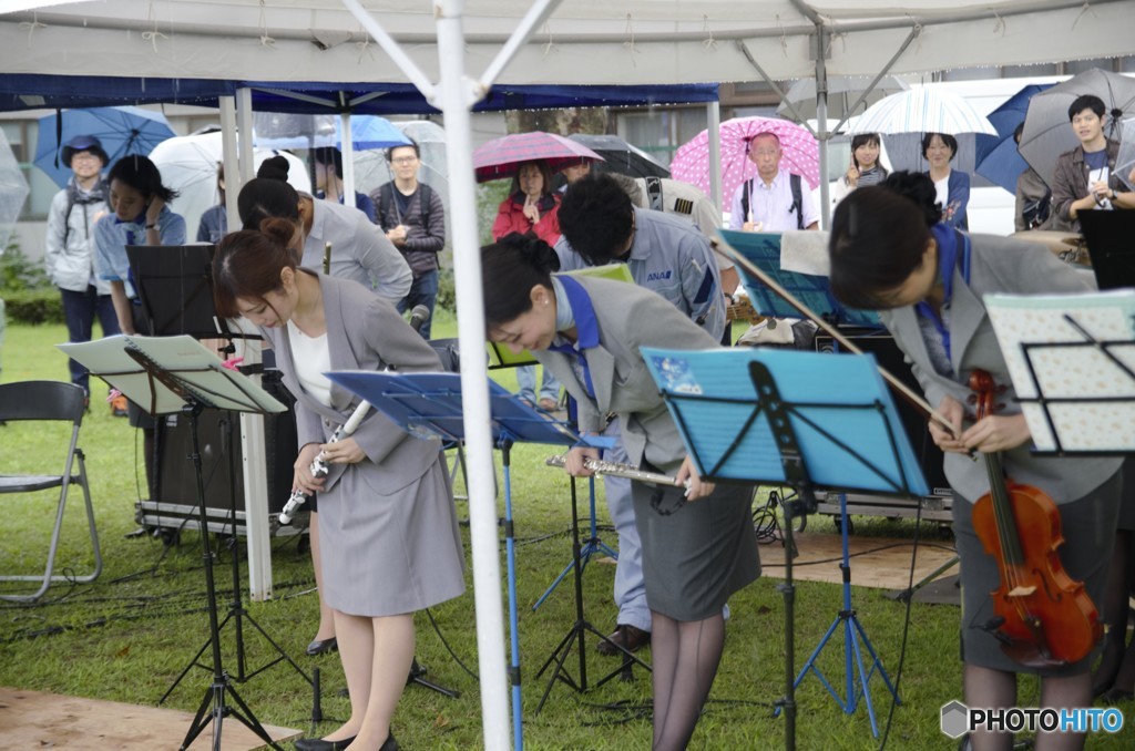 ここから始まります