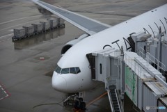 何処へ向かうのか
