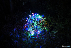 Only a wonderful past revives