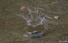 Water crown