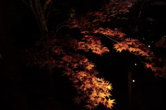 時の流れに身を震わせて