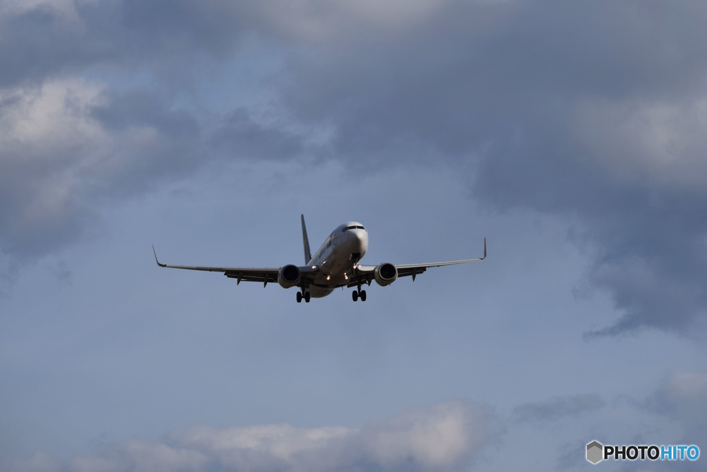 Final landing posture