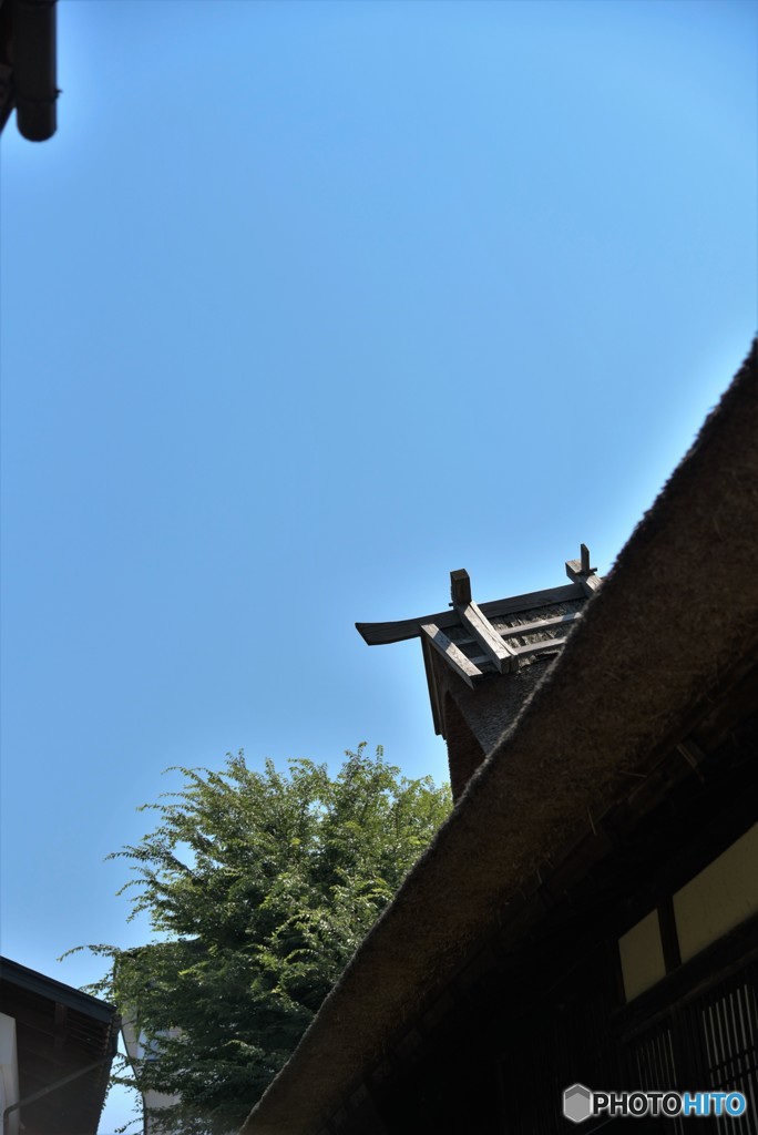 きっと見ているこの空を