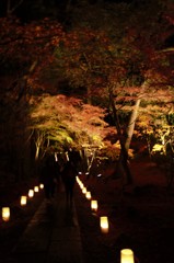燃え尽き終える