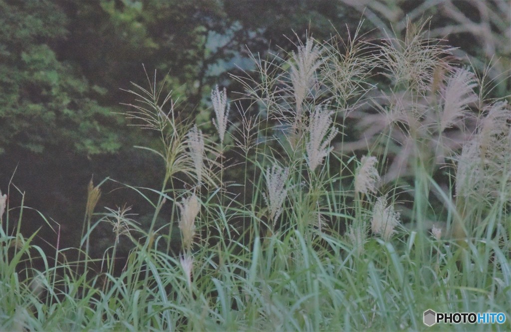 立秋を告げるころ