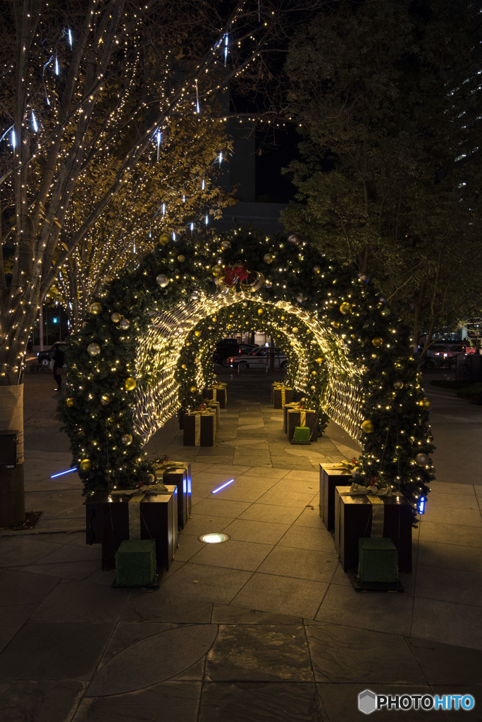 凍れる波風が吹き寄せる