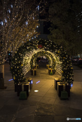 凍れる波風が吹き寄せる