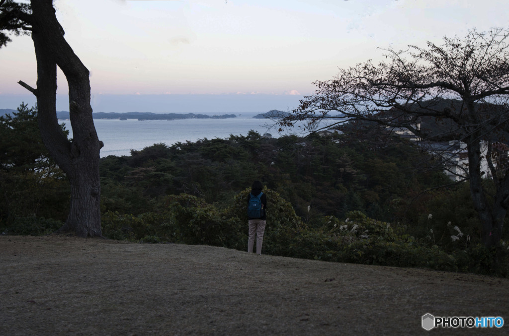 Staring at Matsushima