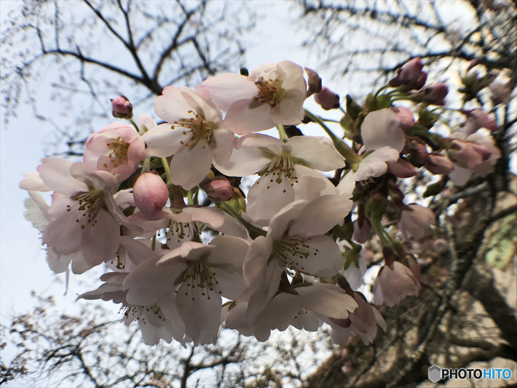 寄り添えば 何も言わず分かり合えてたはず