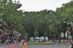 並木がリズムに合わせて踊りだす。