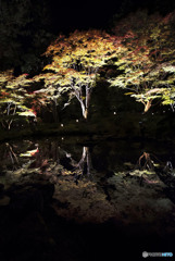 気分次第で責めないで