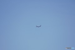 another sky【もうひとつのＡＮＡ】