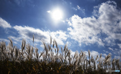 今、神が飛び立つ時