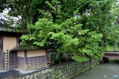 益岡武家屋敷