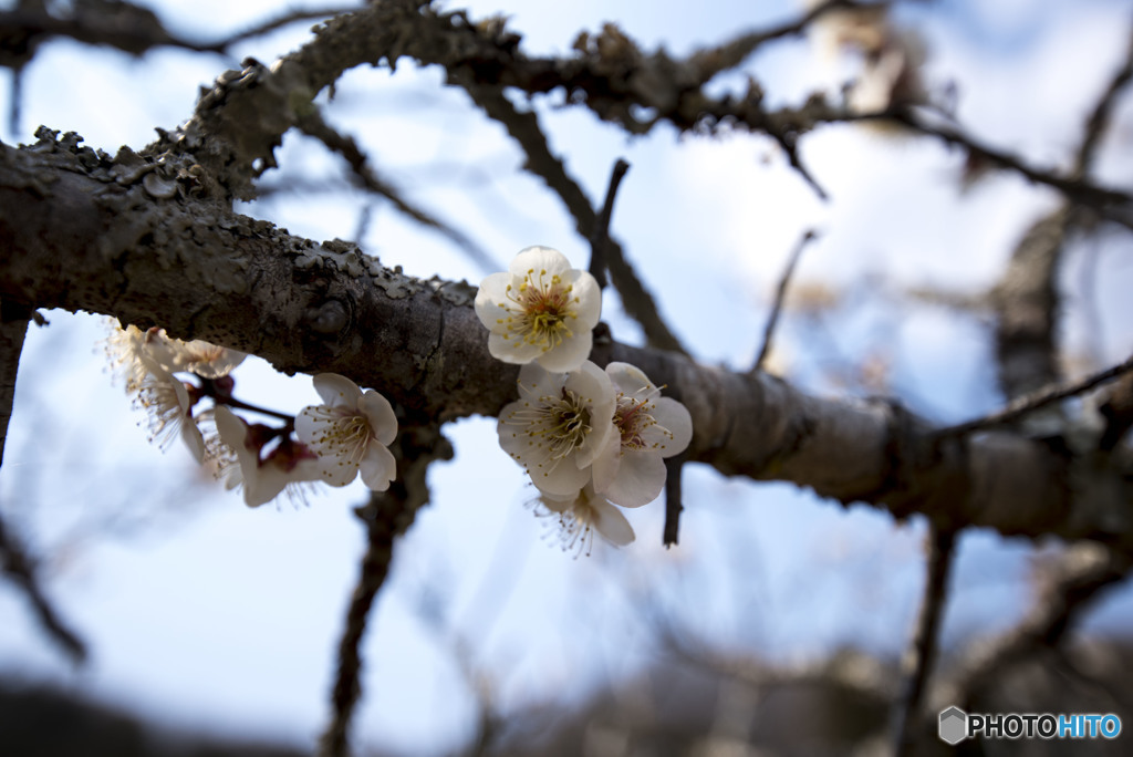 暖かな日差しの中で
