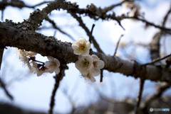 暖かな日差しの中で