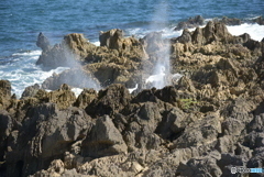 しぶきましたｗ