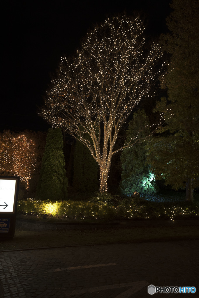 これから何が…