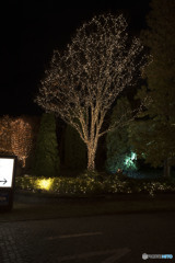 これから何が…