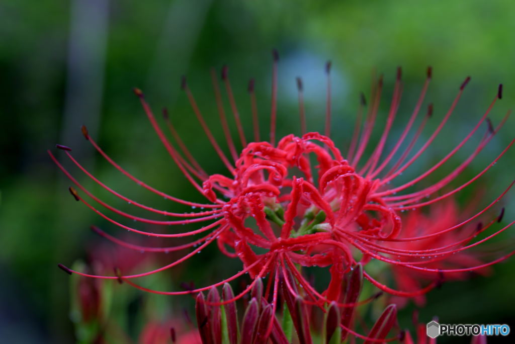 探してくれてありがとう