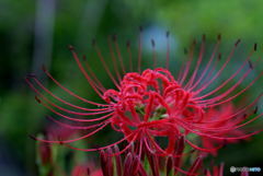 探してくれてありがとう