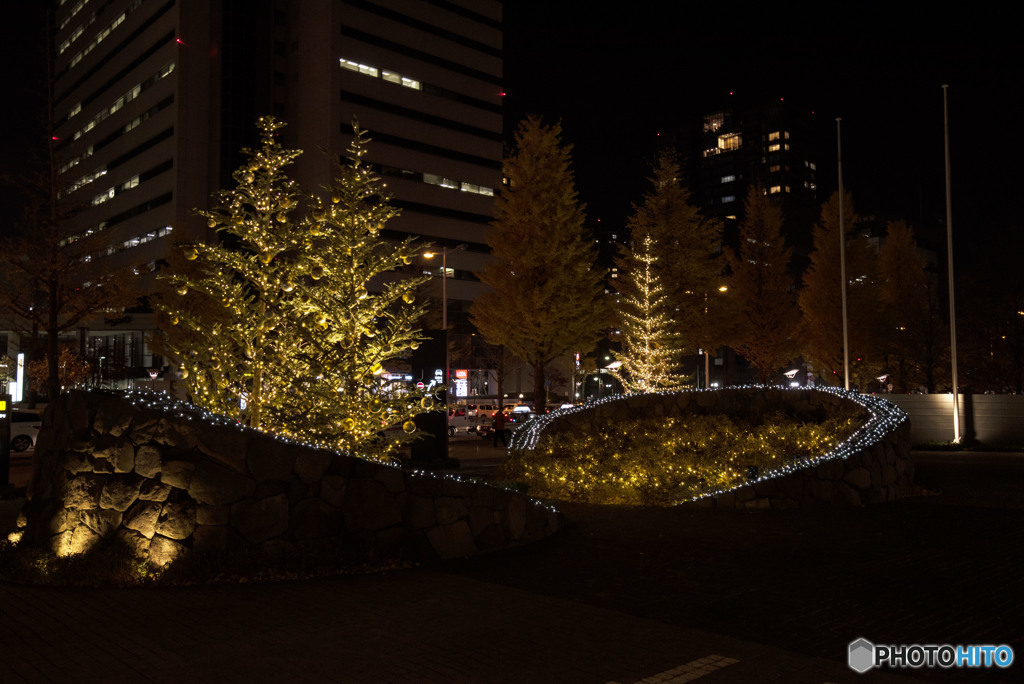 Small boat goes to the sea of ​​tomorrow