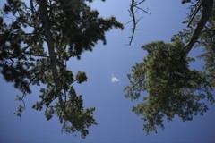 ドラマティックな出来事は