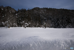 雪が少ない。