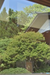 季節を映す私。