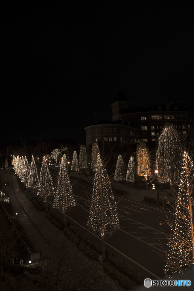 夜明けの街ですれ違うのは