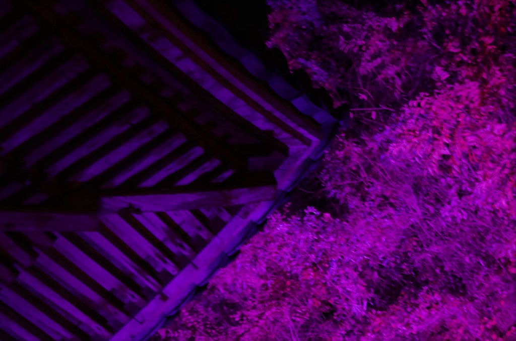 二度と帰らぬ旅にでる