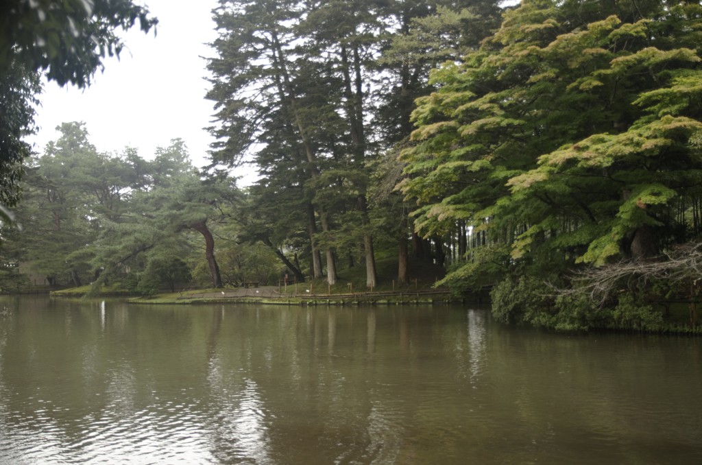 人恋しさは歳をとったしるしでしょう