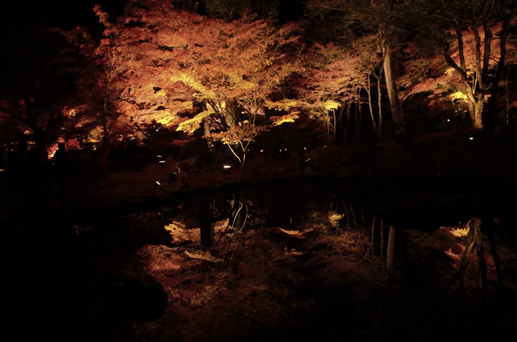 心に咲く花は君の香