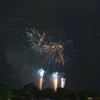 夜空に咲く紫陽花