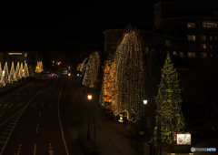 Yesterday's servants