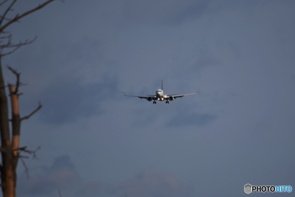 The arms tremble with tension＾＾;