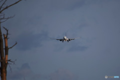 The arms tremble with tension＾＾;