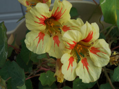 笑みを浮かべて