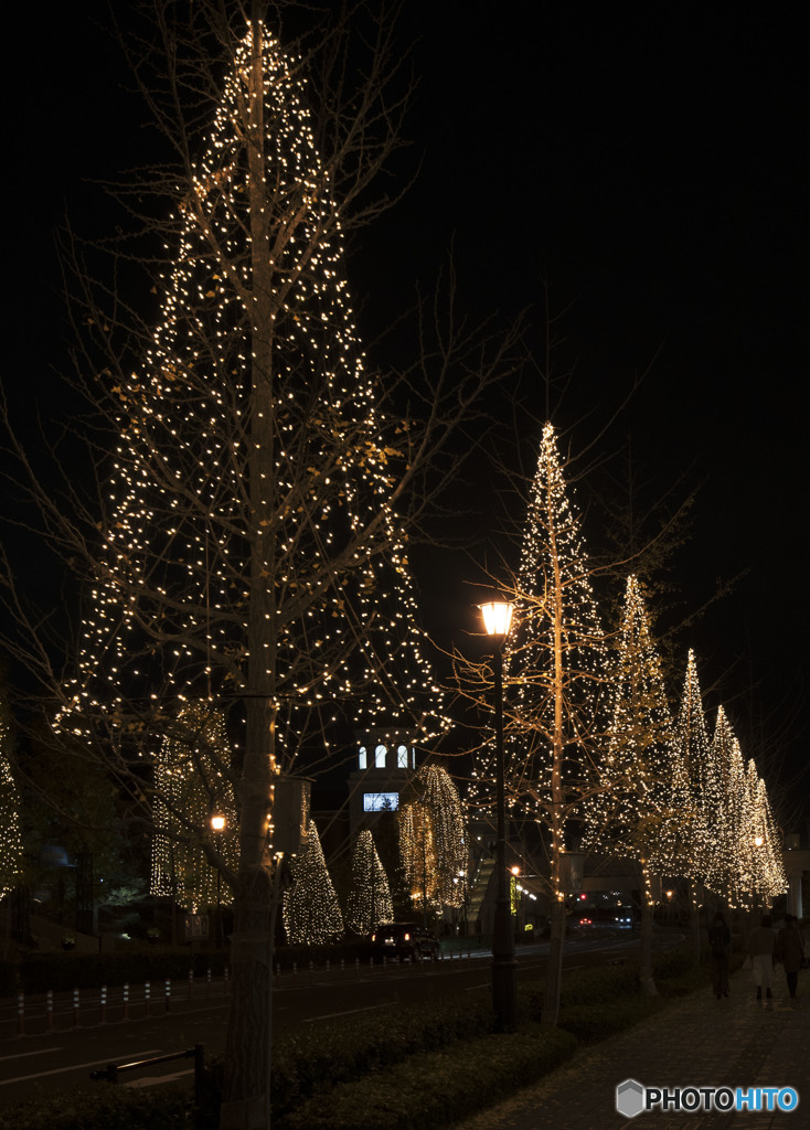 12月がそこまで来てるよ！