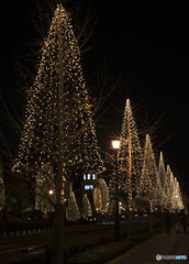 12月がそこまで来てるよ！