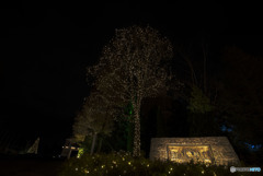 どうやらホテルらしいのですが…