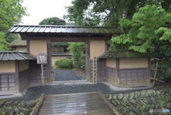 雨の歓迎を受けて。