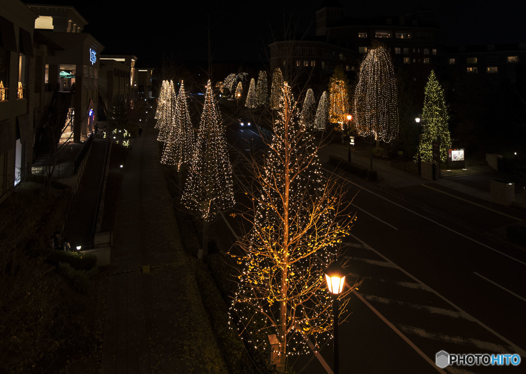 In the city of dawn you pass by