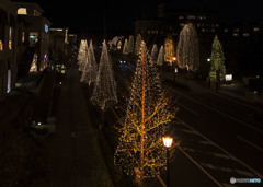 In the city of dawn you pass by