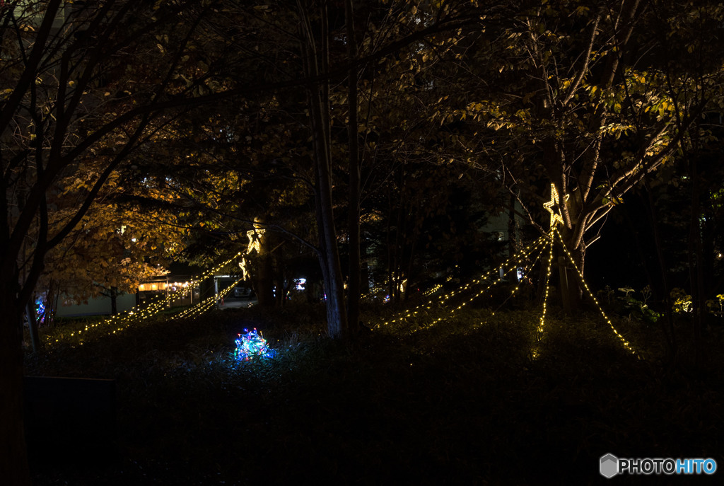 傷あとだらけの翼に託して