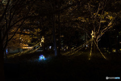 傷あとだらけの翼に託して