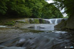 涼しさを求めて③